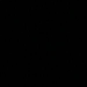 Meet your Posher, Ella